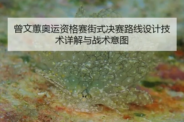ceng-wen-hui-ao-yun-zi-ge-sai-jie-shi-jue-sai-lu-xian-she-ji-ji-shu-xiang-jie-yu-zhan-shu-yi-tu-2-393.jpg