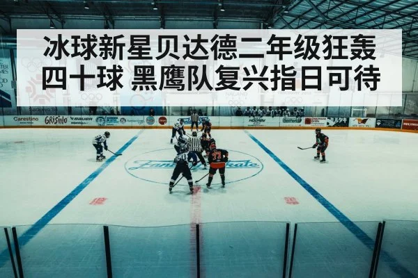 冰球新星贝达德二年级狂轰四十球 黑鹰队复兴指日可待